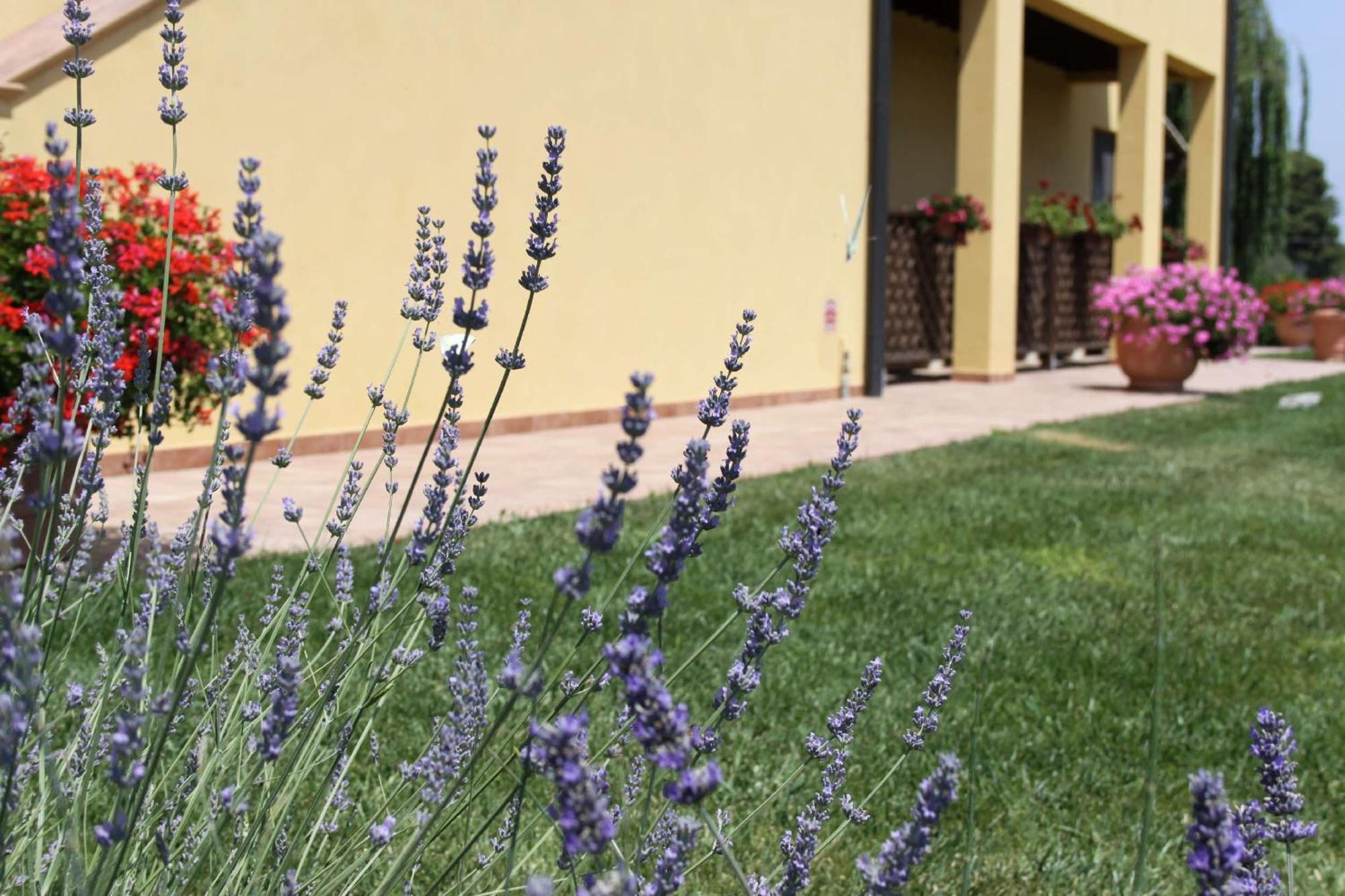 Podere Tre Cipressi Aparthotel Campiglia Marittima Ngoại thất bức ảnh